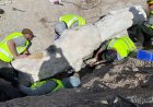 Fossils found at Dinosaur National Monument, first excavation in 100 years