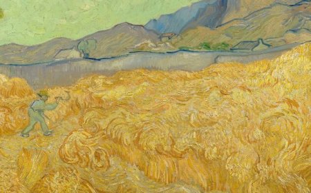 Van Gogh and the Meaning of Yellow